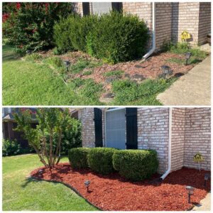 Landscaping, Shrub Trimming, Tree Removal, Lawn Care, Tree Trimming in Tulsa and Near You.