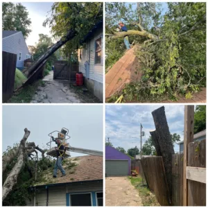 Tree Removal, Tree Trimming, Stump Grinding in Tulsa, Broken Arrow, Sapulpa, OK and Near Me